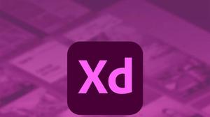 xd在网上什么意思