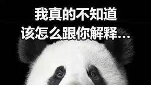 关于熊猫五个你不知道的秘密