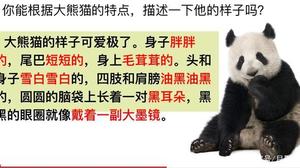 大熊猫外貌特征描写
