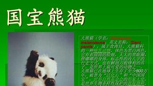 国宝大熊猫为什么成国宝简易介绍
