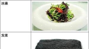 可食用海菜种类图片及名称