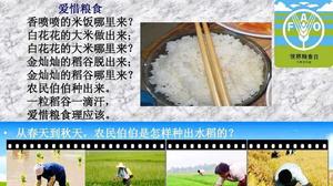 中国米饭历史由来