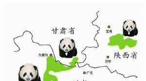 大熊猫的原产地是否在中国