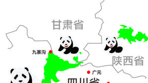 大熊猫分布在哪些地区